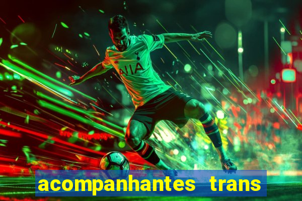 acompanhantes trans baixada fluminense